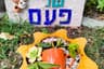 תמונה 1