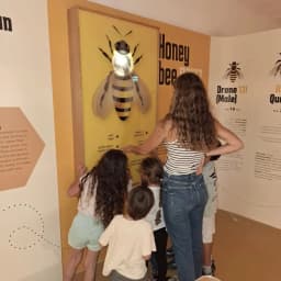 תמונה 3