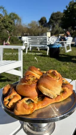 תמונה 3