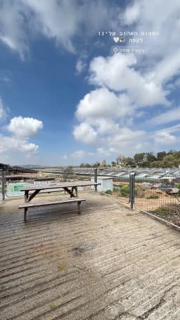 תמונה 2