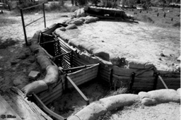 1655986934369_imageFile_