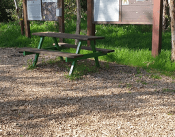 1656011325634_imageFile_