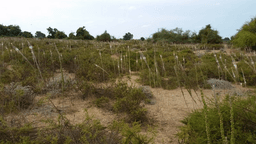 1661178143771_imageFile_